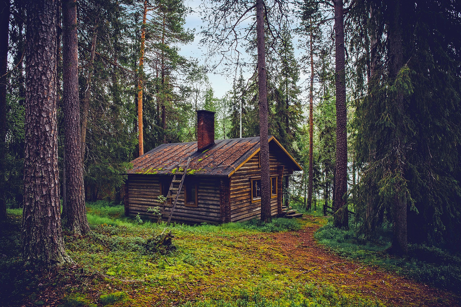 Quid de l’humidité dans une maison à ossature bois ?