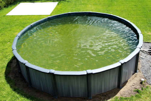 L’eau de ma piscine est verte, que faire ?